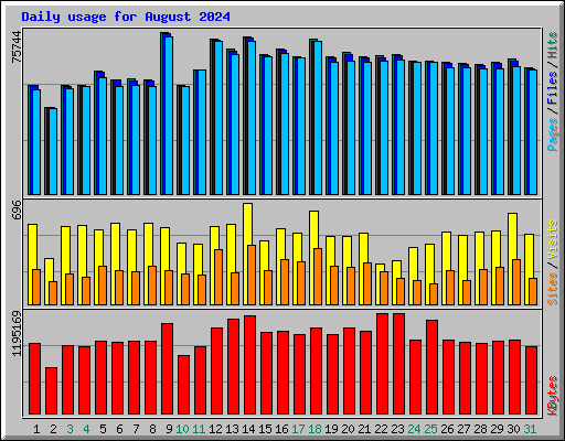 Daily usage for August 2024