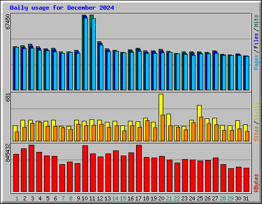 Daily usage for December 2024