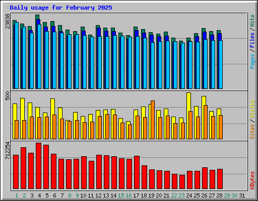 Daily usage for February 2025