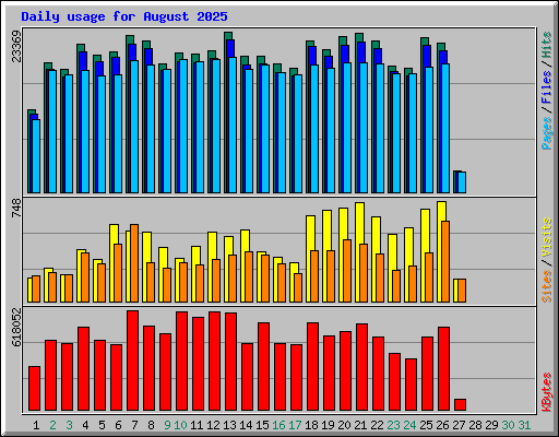 Daily usage for August 2025