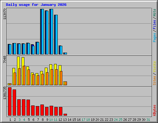 Daily usage for January 2026