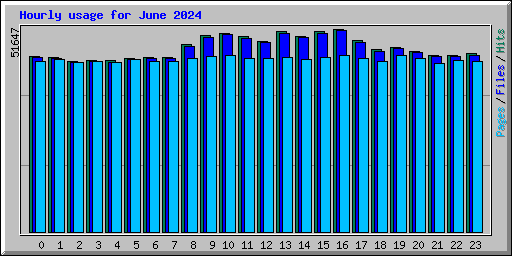 Hourly usage for June 2024