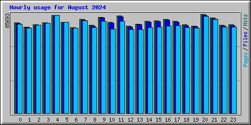 Hourly usage for August 2024