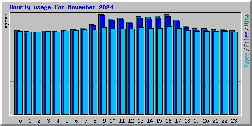 Hourly usage for November 2024
