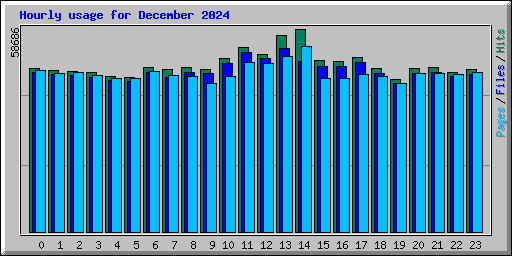 Hourly usage for December 2024