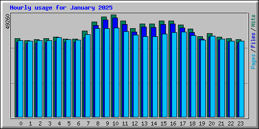 Hourly usage for January 2025