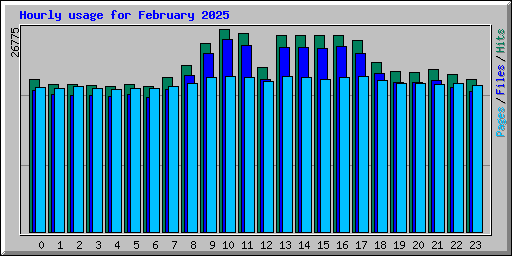 Hourly usage for February 2025