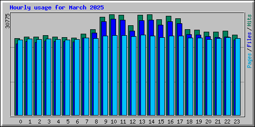 Hourly usage for March 2025
