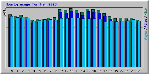 Hourly usage for May 2025