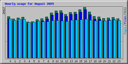 Hourly usage for August 2025