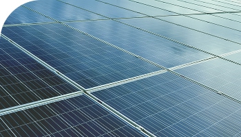 New Business 新事業