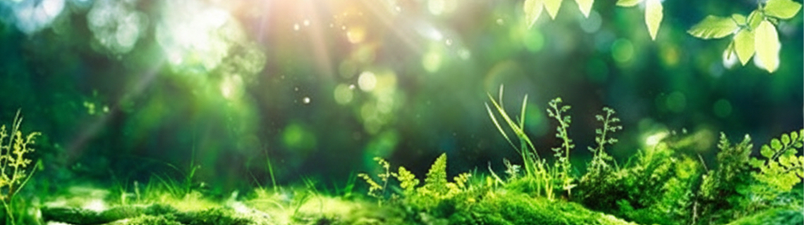 Environmentally Friendly Products 環境対応商品