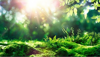 Environmentally Friendly Products 環境対応商品